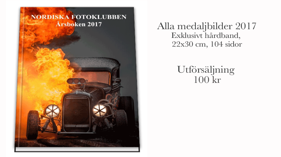 Nf årsbok 2017 100 kr